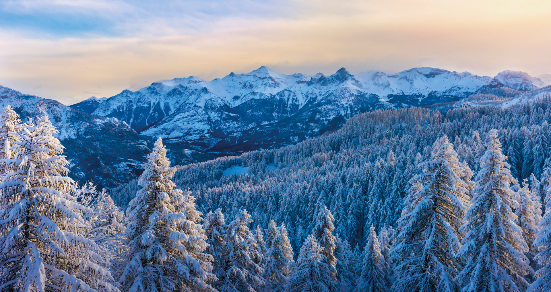 Vue sur les sapins et les montagnes enneigés dans les Alpes du Sud