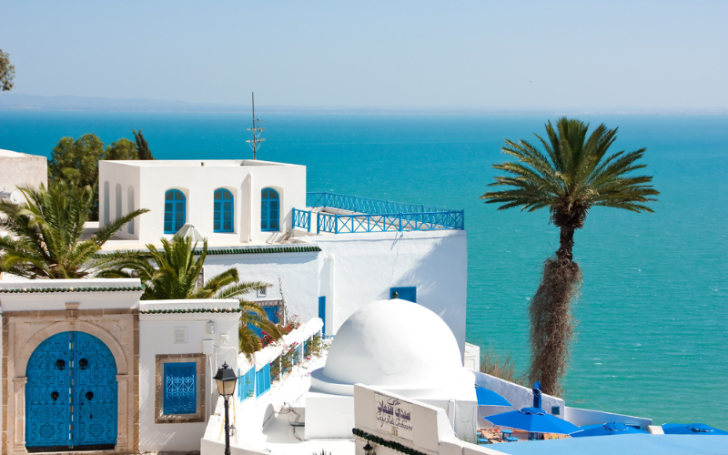 Les maisons bleues et blanches et la plage de Sidi Bou Said