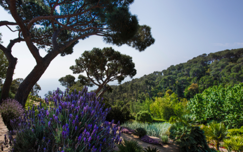 Les jardins de Cap Roig, sur la Costa Brava, en Espagne