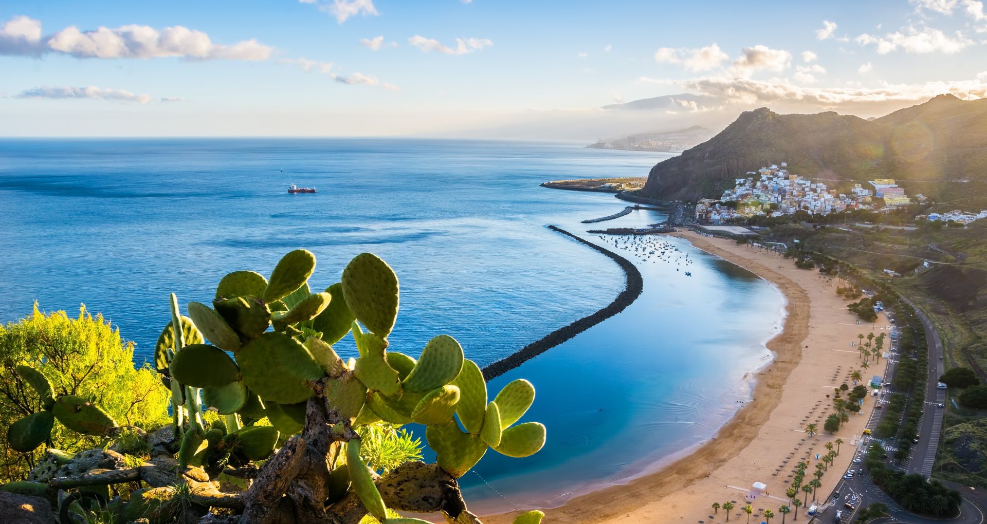 Vue d'ensemble, paysage des Canaries, mer entourée de falaises et cactus