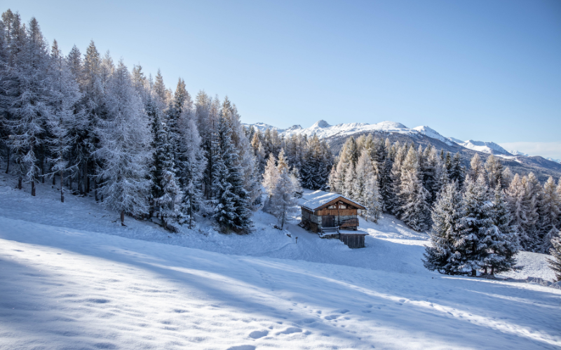 Un chalet enneigé et des sapins autour dans la station des Arcs