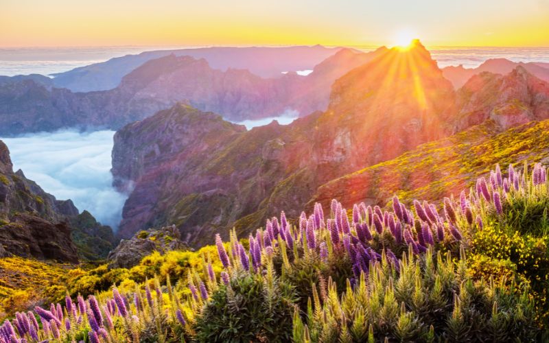 Point de vue, Pico de Areiro, Madère, Portugal
