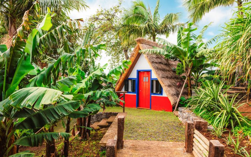 Célèbre jardin, Madère, Portugal