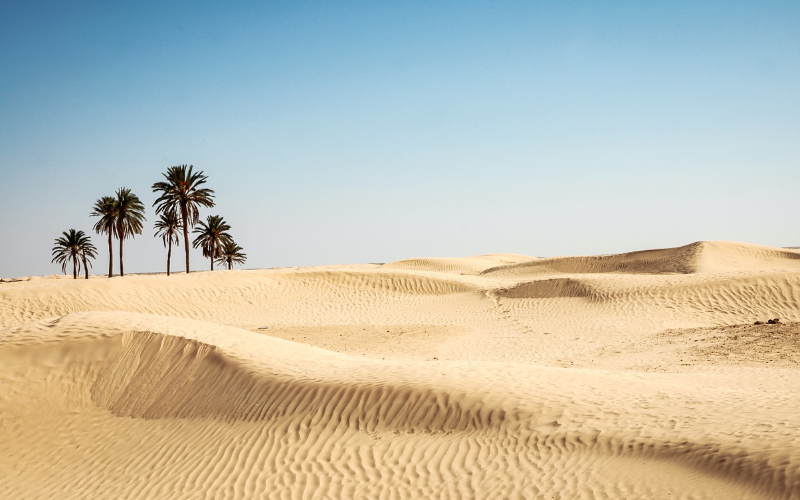 Désert du Sahara, Tunisie
